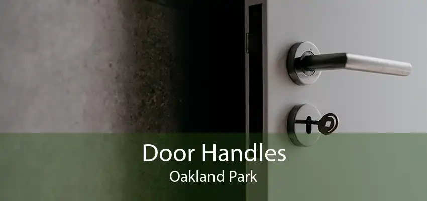 Door Handles Oakland Park