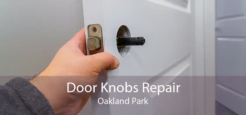 Door Knobs Repair Oakland Park