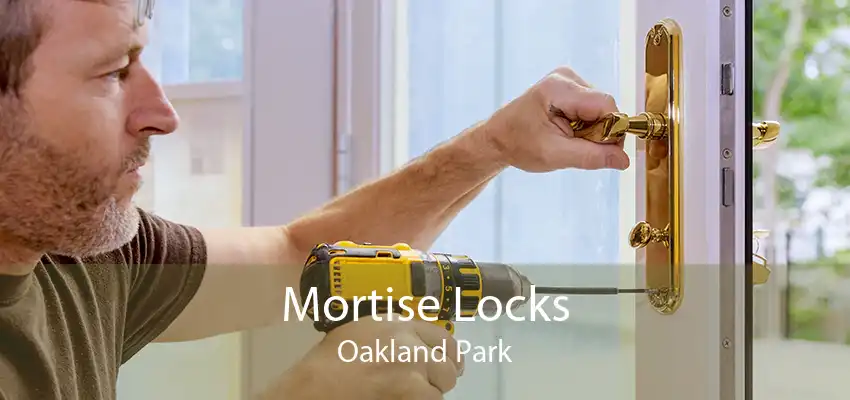 Mortise Locks Oakland Park